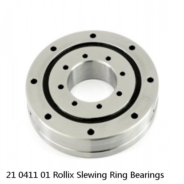 21 0411 01 Rollix Slewing Ring Bearings