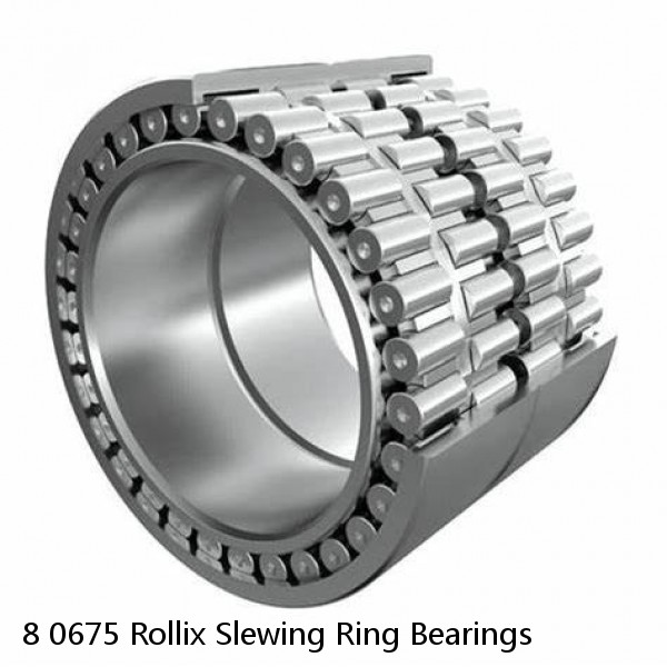 8 0675 Rollix Slewing Ring Bearings