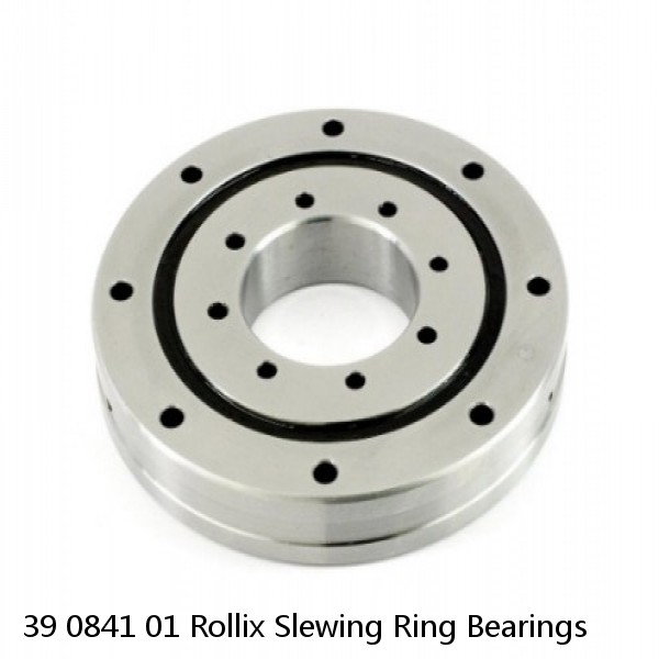 39 0841 01 Rollix Slewing Ring Bearings