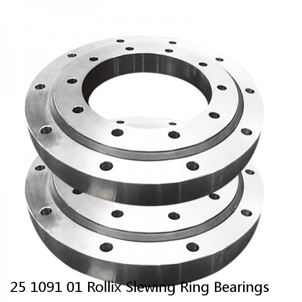 25 1091 01 Rollix Slewing Ring Bearings