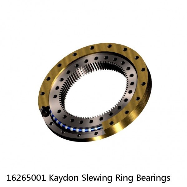 16265001 Kaydon Slewing Ring Bearings