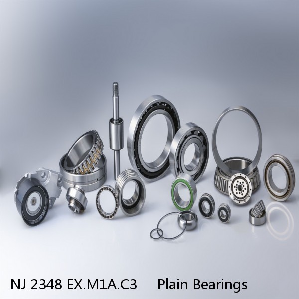 NJ 2348 EX.M1A.C3     Plain Bearings