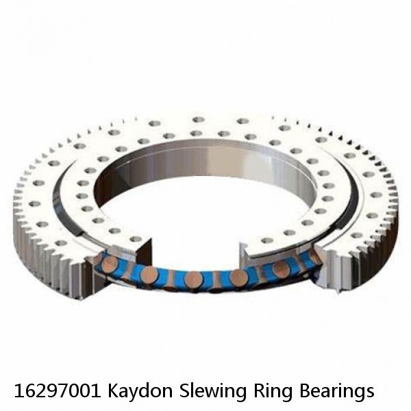 16297001 Kaydon Slewing Ring Bearings