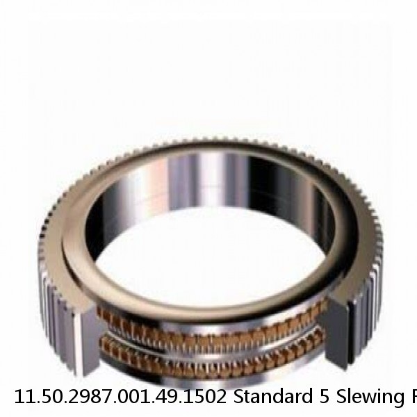 11.50.2987.001.49.1502 Standard 5 Slewing Ring Bearings