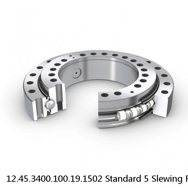 12.45.3400.100.19.1502 Standard 5 Slewing Ring Bearings