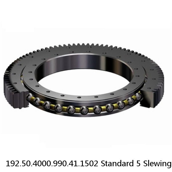 192.50.4000.990.41.1502 Standard 5 Slewing Ring Bearings