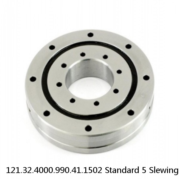 121.32.4000.990.41.1502 Standard 5 Slewing Ring Bearings