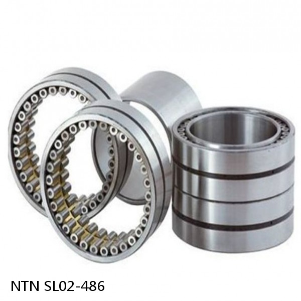 SL02-486 NTN Cylindrical Roller Bearing